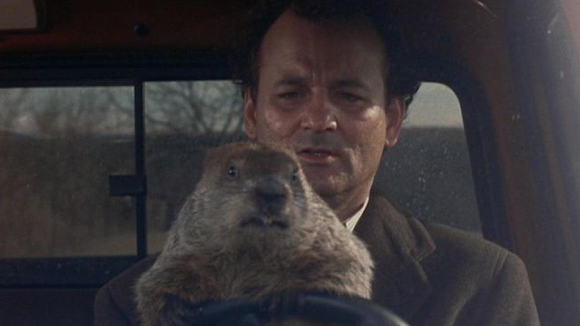 Groundhog Day: Not Just for Hairy Rodents. Itâs About Jobs! | VTA